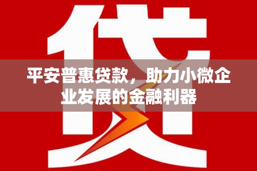 碌曲平安普惠贷款，助力小微企业发展的金融利器