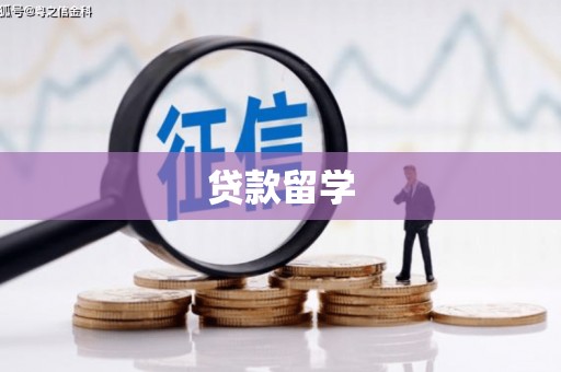 碌曲贷款留学