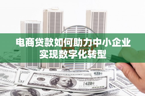 碌曲电商贷款如何助力中小企业实现数字化转型