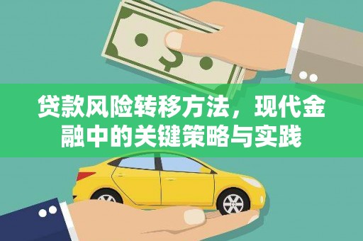 碌曲贷款风险转移方法，现代金融中的关键策略与实践