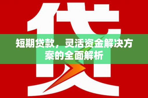 碌曲短期贷款，灵活资金解决方案的全面解析