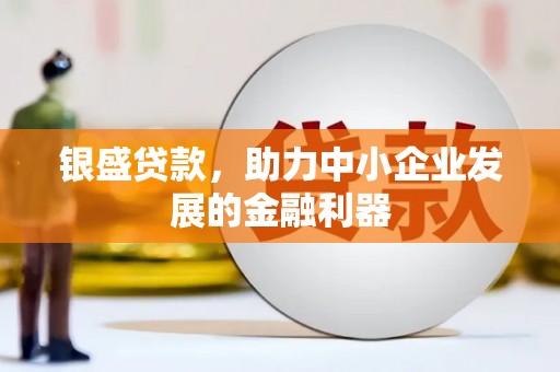 碌曲银盛贷款，助力中小企业发展的金融利器