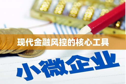 碌曲现代金融风控的核心工具