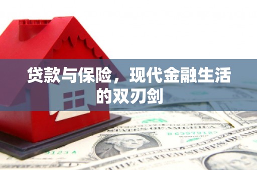 碌曲贷款与保险，现代金融生活的双刃剑