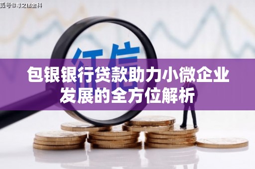 碌曲包银银行贷款助力小微企业发展的全方位解析 碌曲包银银行贷款助力小微企业发展的全方位解析