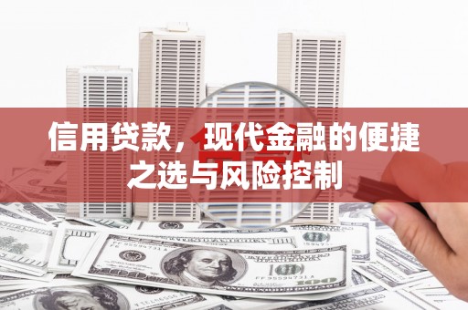 碌曲信用贷款，现代金融的便捷之选与风险控制