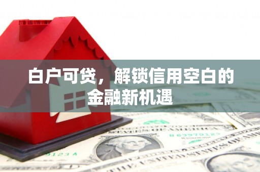 碌曲白户可贷，解锁信用空白的金融新机遇