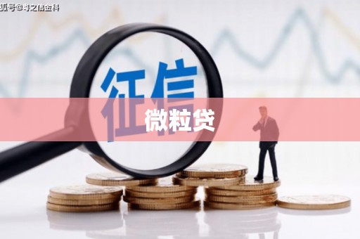 碌曲微粒贷