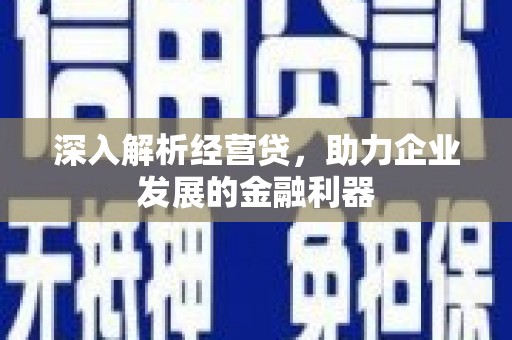 碌曲深入解析经营贷，助力企业发展的金融利器