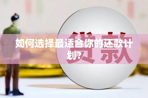 碌曲如何选择最适合你的还款计划？
