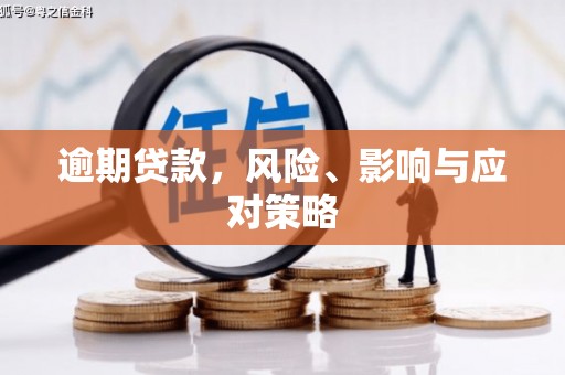 碌曲逾期贷款，风险、影响与应对策略