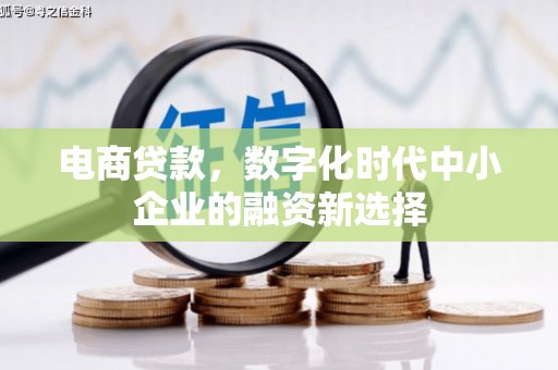 碌曲电商贷款，数字化时代中小企业的融资新选择
