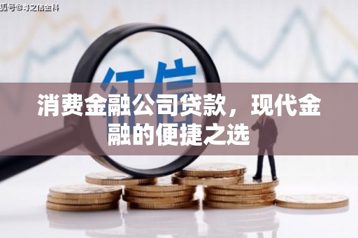 碌曲消费金融公司贷款，现代金融的便捷之选