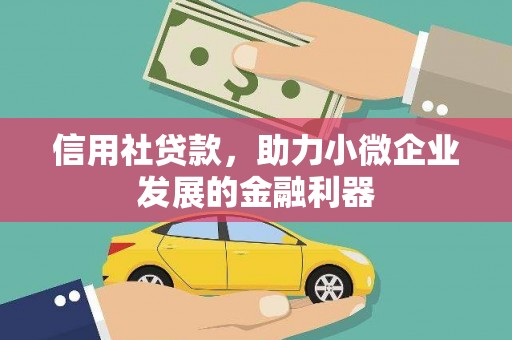 碌曲信用社贷款，助力小微企业发展的金融利器