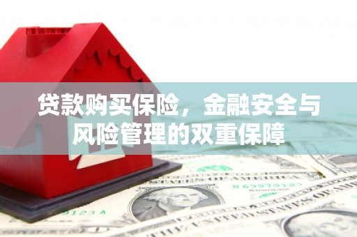 碌曲贷款购买保险，金融安全与风险管理的双重保障