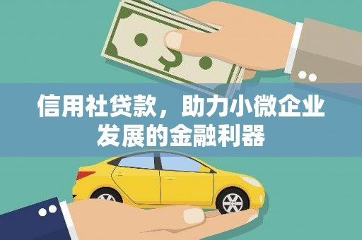 碌曲信用社贷款，助力小微企业发展的金融利器