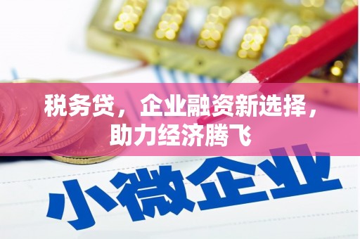 碌曲税务贷，企业融资新选择，助力经济腾飞
