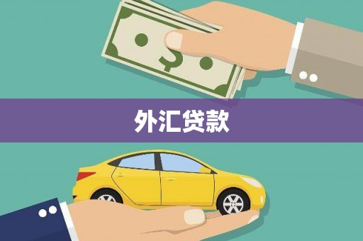 碌曲外汇贷款
