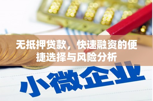 碌曲无抵押贷款，快速融资的便捷选择与风险分析