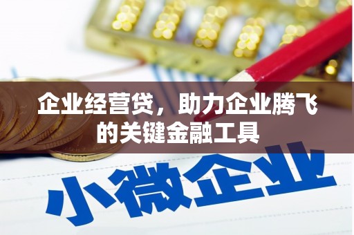 碌曲企业经营贷，助力企业腾飞的关键金融工具