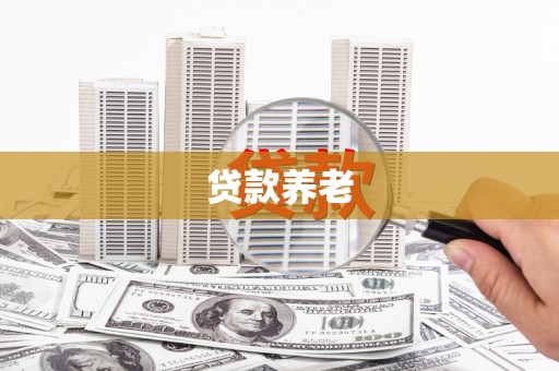 碌曲贷款养老