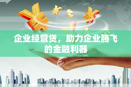 碌曲企业经营贷，助力企业腾飞的金融利器