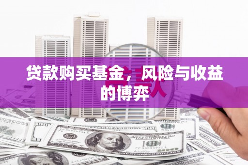 碌曲贷款购买基金，风险与收益的博弈