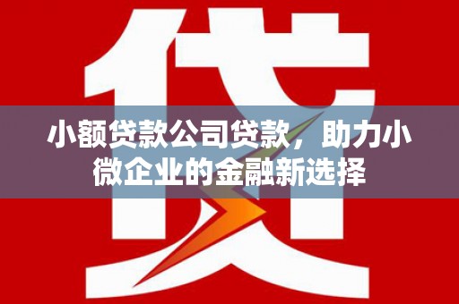 碌曲小额贷款公司贷款，助力小微企业的金融新选择