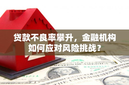 碌曲贷款不良率攀升，金融机构如何应对风险挑战？