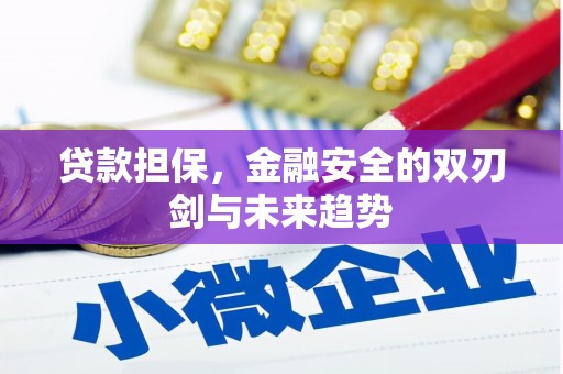 碌曲贷款担保，金融安全的双刃剑与未来趋势