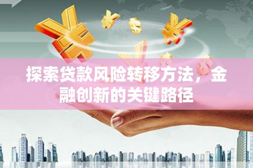 碌曲探索贷款风险转移方法，金融创新的关键路径