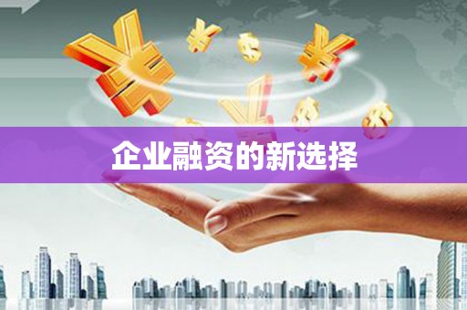碌曲企业融资的新选择