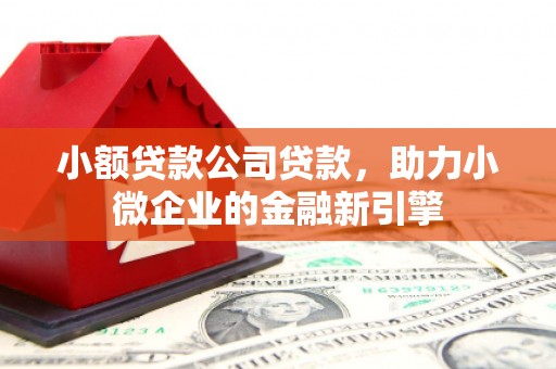 碌曲小额贷款公司贷款，助力小微企业的金融新引擎