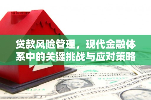 碌曲贷款风险管理，现代金融体系中的关键挑战与应对策略