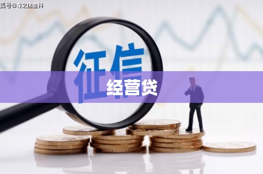 碌曲经营贷