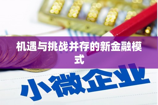 碌曲机遇与挑战并存的新金融模式