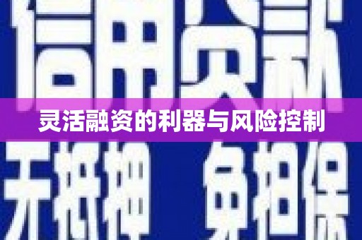碌曲灵活融资的利器与风险控制