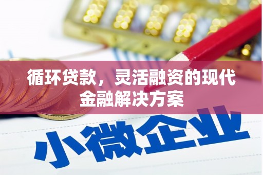 碌曲循环贷款，灵活融资的现代金融解决方案