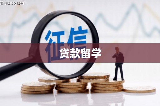碌曲贷款留学