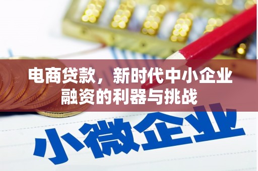 碌曲电商贷款，新时代中小企业融资的利器与挑战