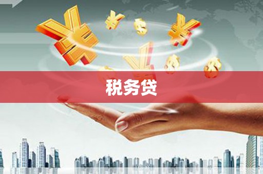 碌曲税务贷