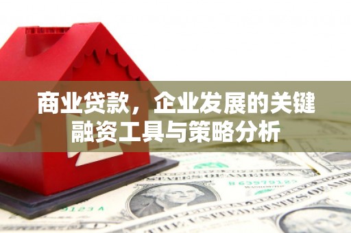 碌曲商业贷款，企业发展的关键融资工具与策略分析