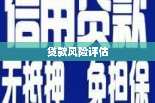 碌曲贷款风险评估