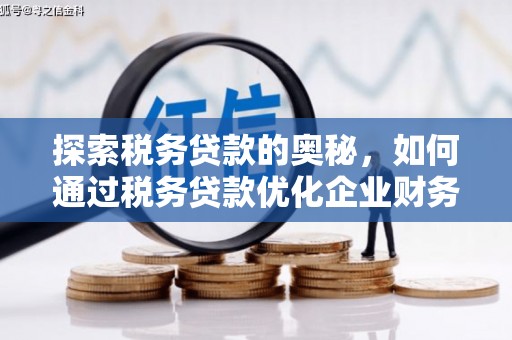 碌曲探索税务贷款的奥秘，如何通过税务贷款优化企业财务