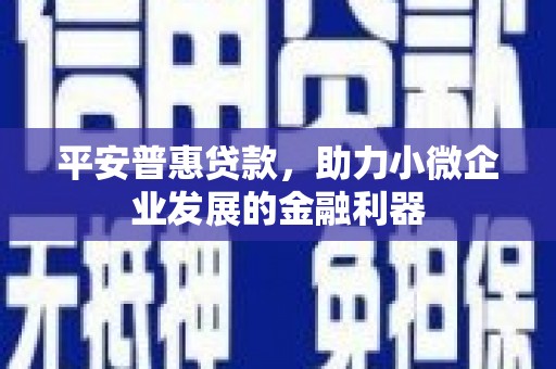 碌曲平安普惠贷款，助力小微企业发展的金融利器