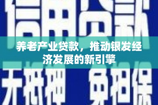 碌曲养老产业贷款，推动银发经济发展的新引擎