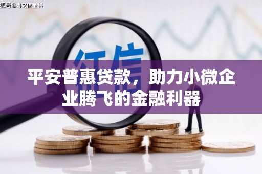 碌曲平安普惠贷款，助力小微企业腾飞的金融利器