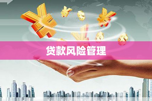 碌曲贷款风险管理