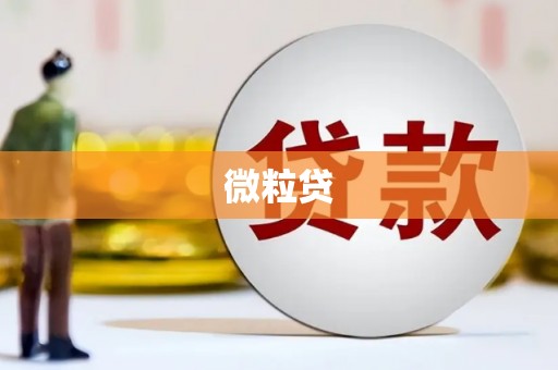 碌曲微粒贷