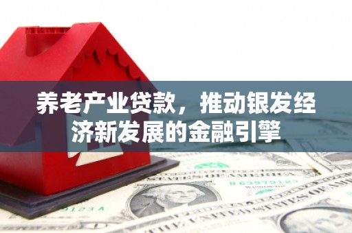 碌曲养老产业贷款，推动银发经济新发展的金融引擎